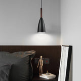 Modern Single Head Small Pendant Lights