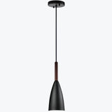 Modern Single Head Small Pendant Lights