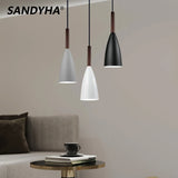 Modern Single Head Small Pendant Lights